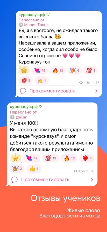 Приложение ЕГЭ Русский язык: скриншот 3